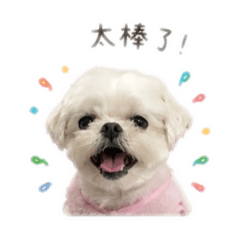 麻糬阿嬤