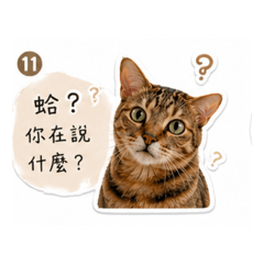 Huang Jumi
