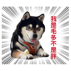 黑皮小寶貝part2