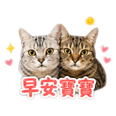 灰勾、阿虎撒嬌版