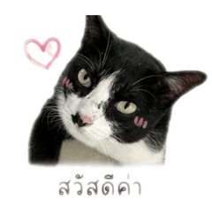 Muninz_20260428221238
