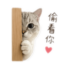 豆豆&叉奇