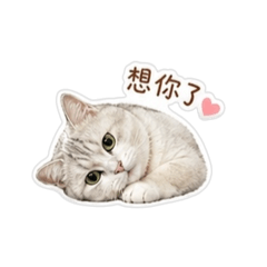 任性波妞老奶奶