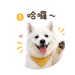 鹿比日常生活