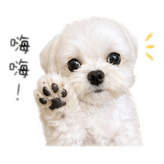 小弟弟呀