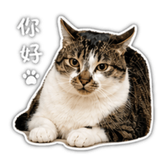 漢堡老哥