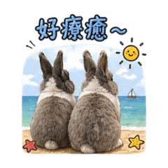 Oreo兔兔日常篇