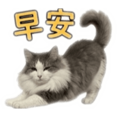 13萬萬