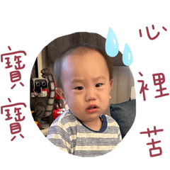 雙宇