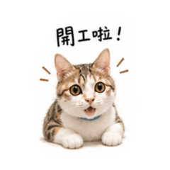小四月上班囉