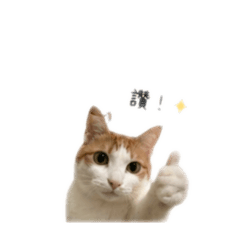 RiceCC