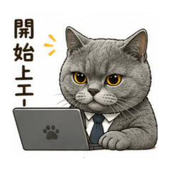 小喵咪上班用語
