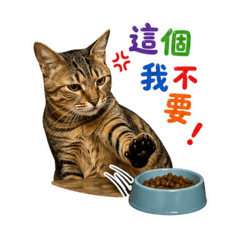 小虎の貪吃日常