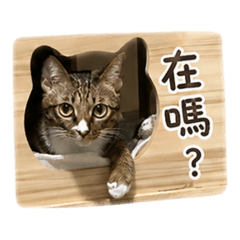 ㄎㄨㄥˋㄖㄡˋ