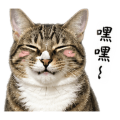 ㄎㄨㄥˋㄖㄡˋ4