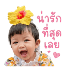 Wansuk gg