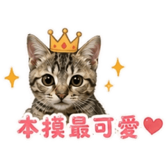 摸摸寶貝❤️0109