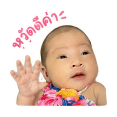 Plammypinmook