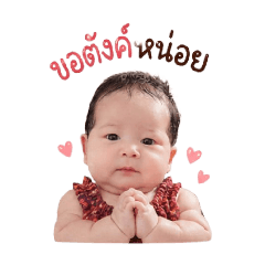 DaisyDream_20260427222338