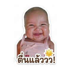 BROWNIE_20260427223244