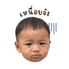 Adel_20260427223052