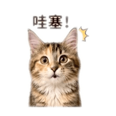 晴晴寶貝_1
