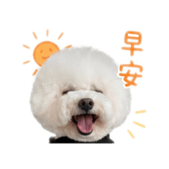 Ken的錢錢寶貝