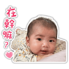 妮霏第三彈