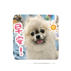 可愛Rena
