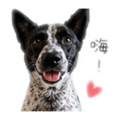 小意麵可愛生活日常