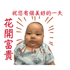 我只是個小胖寶寶