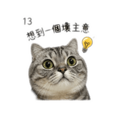 奧特曼吃凍乾