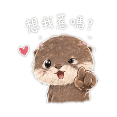 圓滾滾水獺日常篇