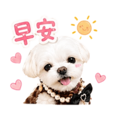 馬爾濟斯ChuChu日常貼圖2