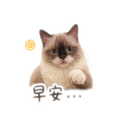 雪球日常用語1