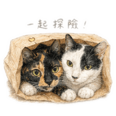 大寶小寶繪畫篇