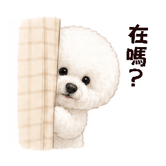 療癒比熊日常用語