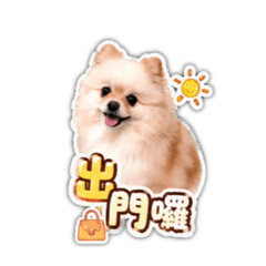 妞妞part