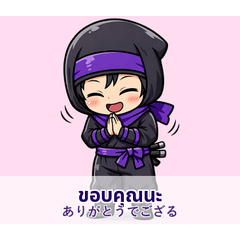 Ninja Stickers: Japanese & Thai