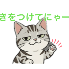 TORU TANAKA_20260429102050