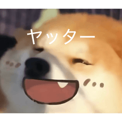 Yasu_20260424222924
