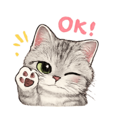 Hide2026_20260429133541