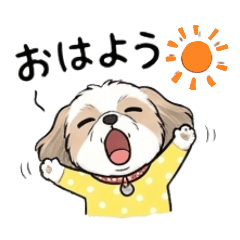 melon_20260429134155