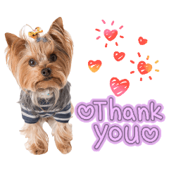 melon_20260429131855