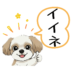 melon_20260429134656