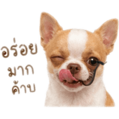 nanun_20260427224757