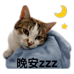 張LuLu！