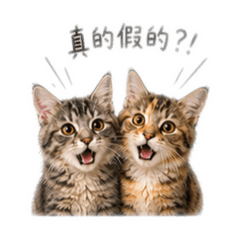 晴晴路納好朋友1