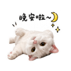 垮頌is me