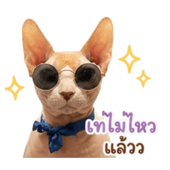 1Kirimek_20260427224246